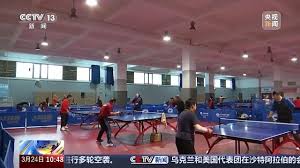 2026年世界杯官网 天津哪里有乒乓球台